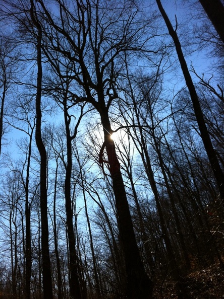 Cross Over Trail - 4